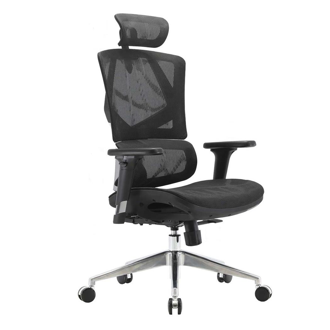 Ergonomischer Bürostuhl PHOENIX PRO XXL, vielseitig einstellbar, Sitz und Rückenlehne aus Netzstoff, Farbe Schwarz